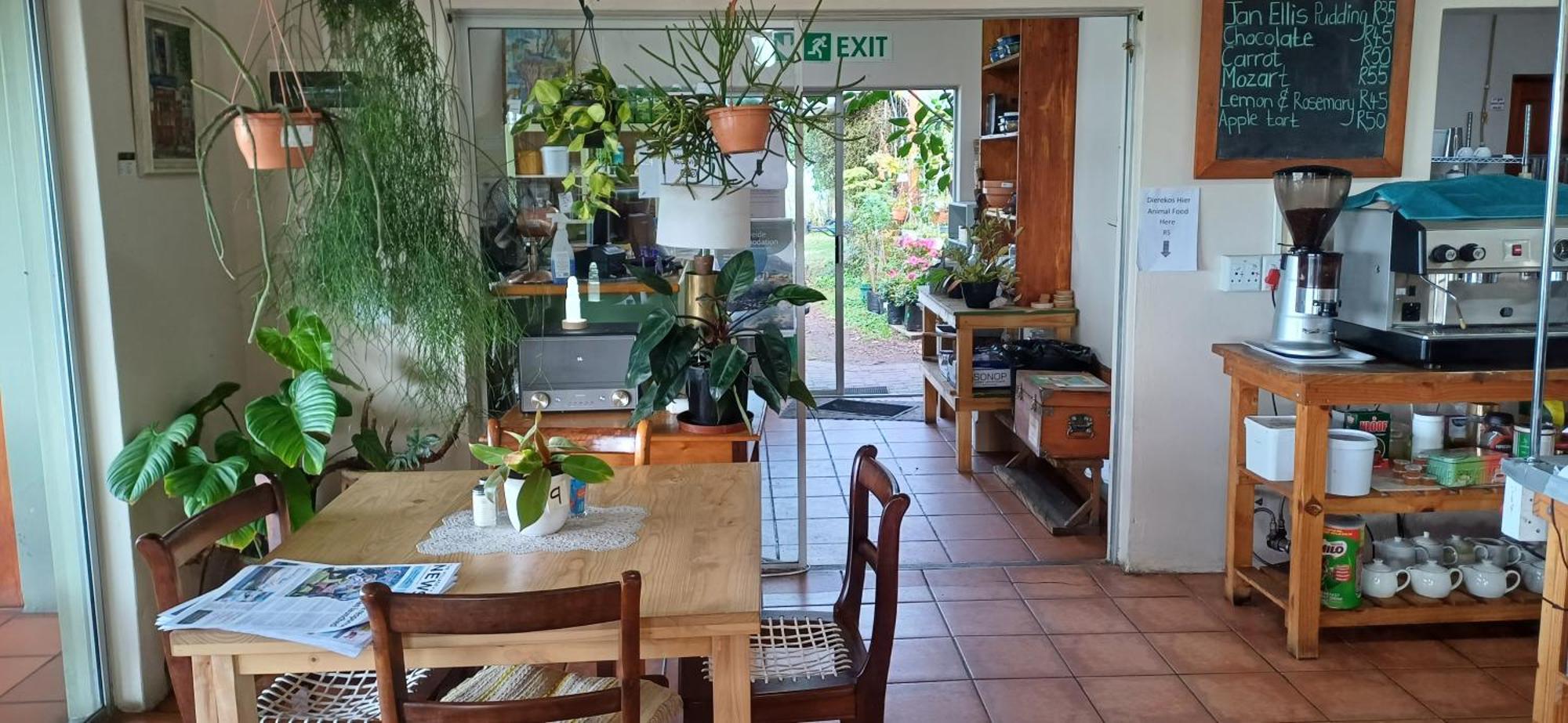 Villa Blombos Self-Catering House Franskraalstrand Exterior foto